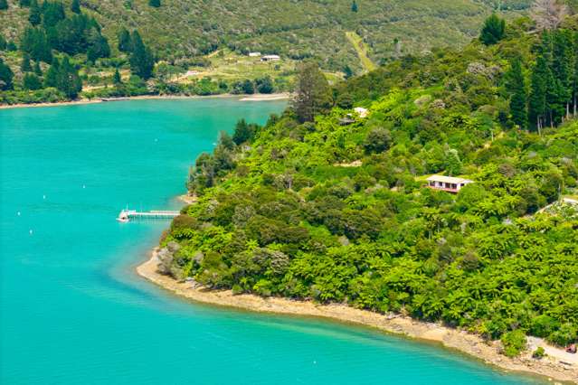 Panoramic Pelorus views