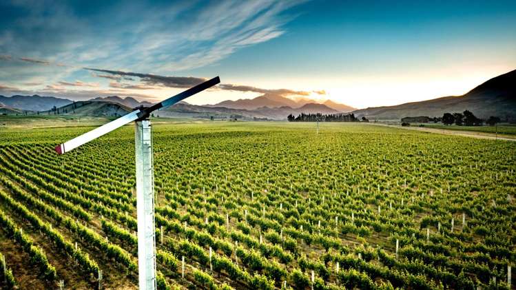 413 Upton Downs Road Seddon_6