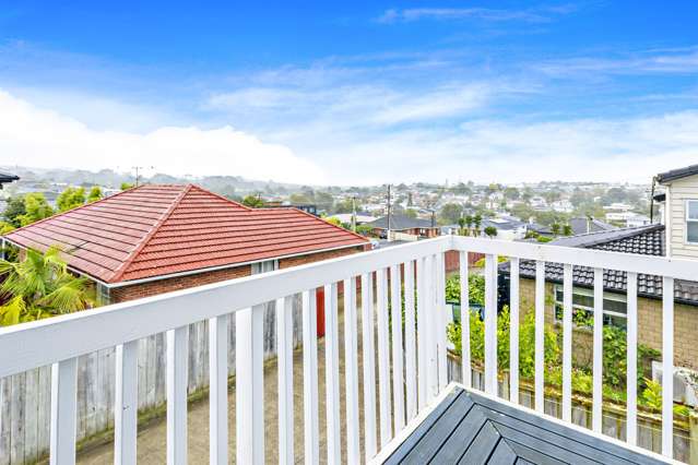 29 Ellis Avenue Mount Roskill_1