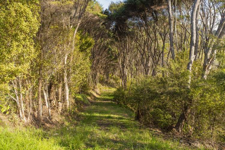 70E Centennial Drive Whitianga_2