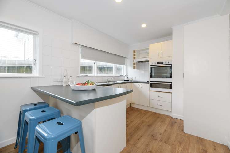 47 Olsen Avenue Hillsborough_6