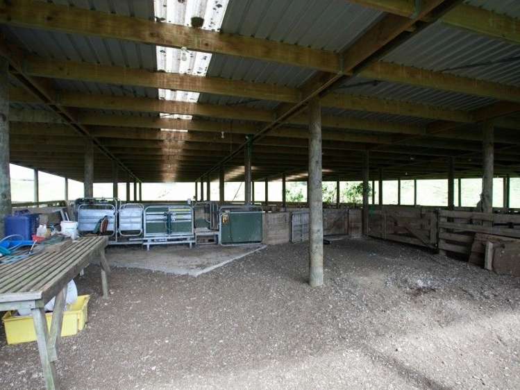 450 Ngapaenga Road Pomarangai_10