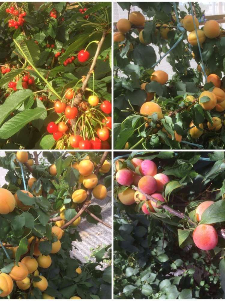 1909 South Eyre Road West Eyreton_15