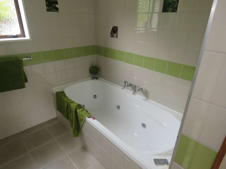 20 Greenfield Street Hector_10