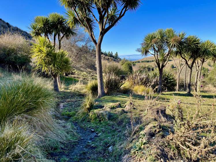 96 Cattle Valley Road Kurow_5