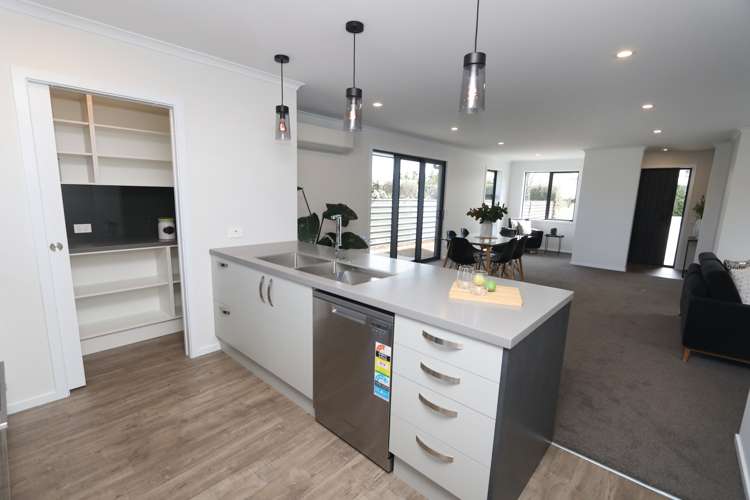 61 Tarbottons Road Tinwald_5