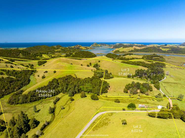 Telfer Road Parua Bay_23