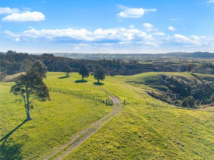 171 Mcgregor Road Clevedon_22