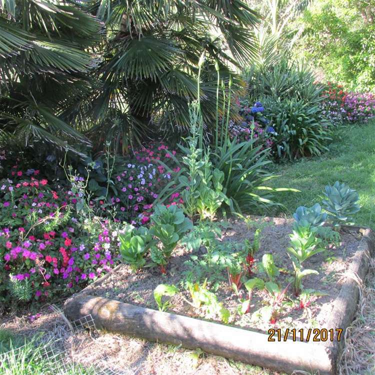 1123 State Highway 12 Oue_19