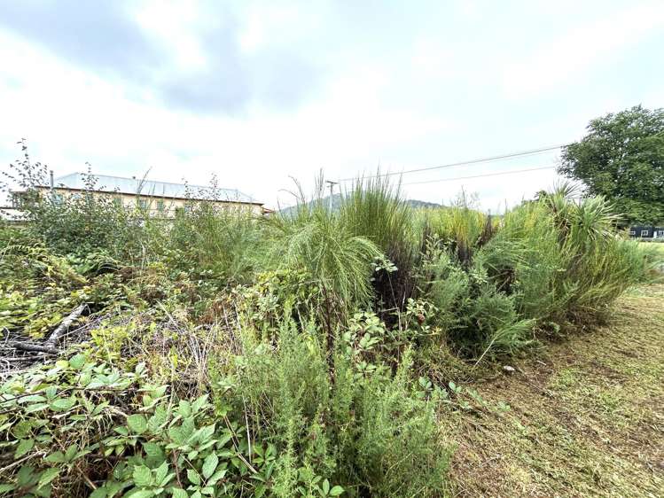 32 Hart Street Blackball_3