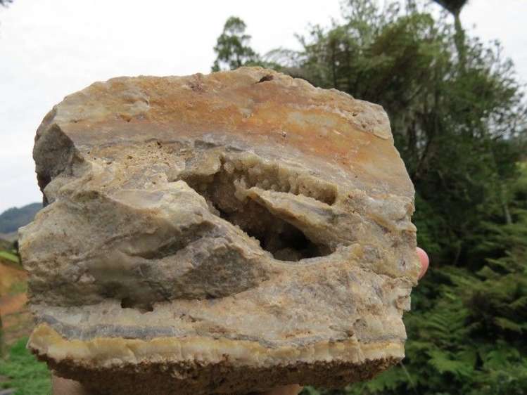 747a No 4 Road Te Puke_7