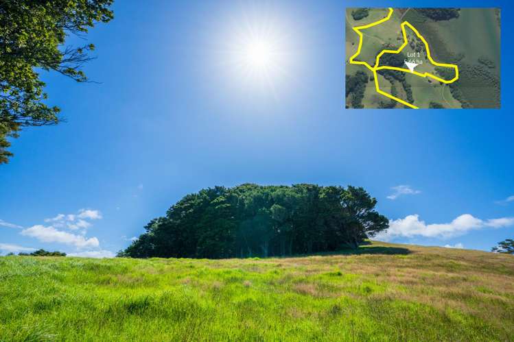 Telfer Road Parua Bay_7