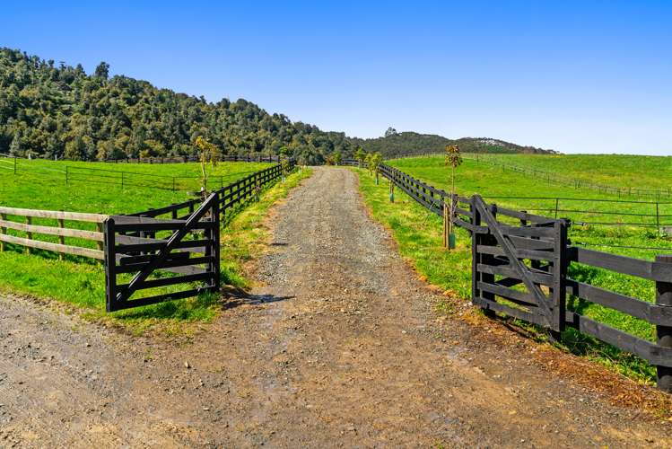 110 Ti Tree Way Hunua_18