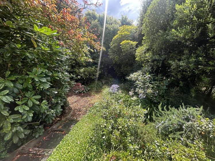 57 Marion Street Macandrew Bay_32