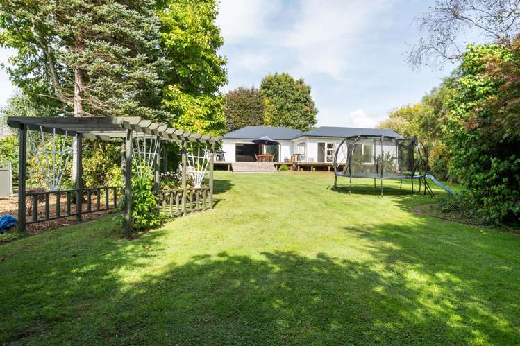 808 Te Matai Road Te Puke_13