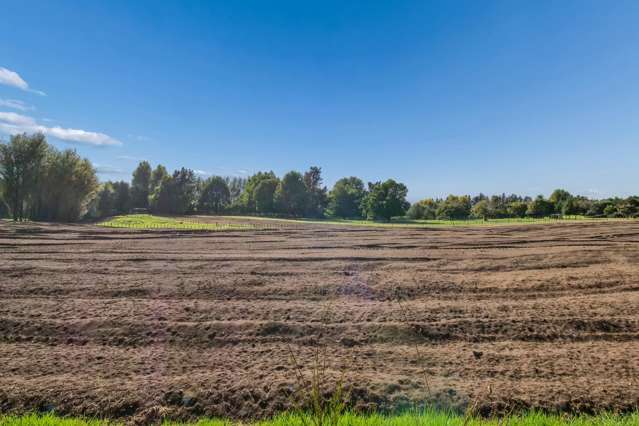 Premium Lifestyle | Prime Bare Kiwifruit Land