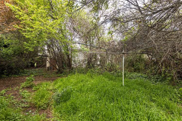 88 Main Street Blenheim Central_5