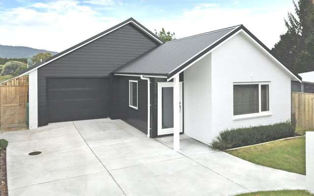 85 Dunlop Road Te Puke_1