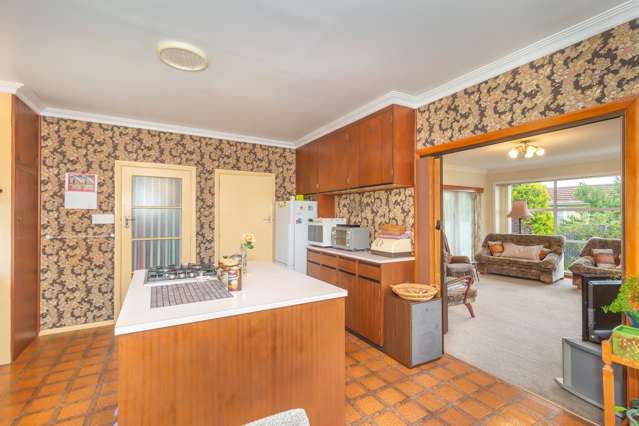 25 Roosevelt Street Levin_4