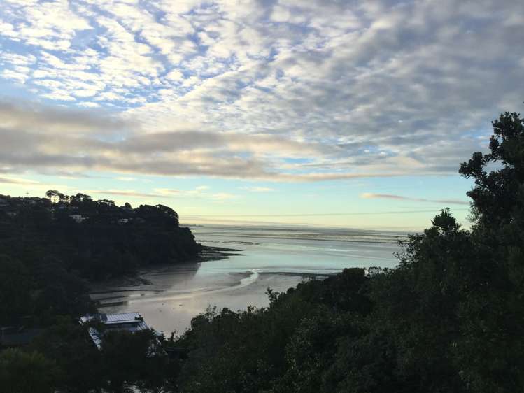 80 Lynbrooke Avenue Blockhouse Bay_2