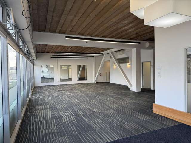 17 Maidstone Place Grey Lynn_2