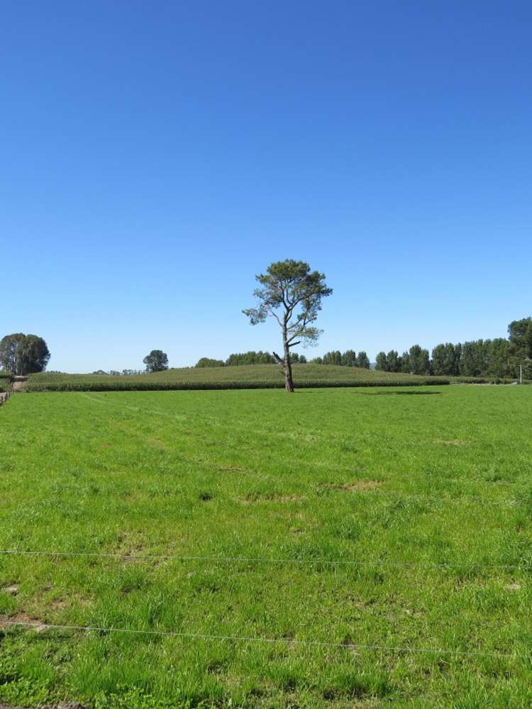 6261 State Highway 1 Kinleith_10