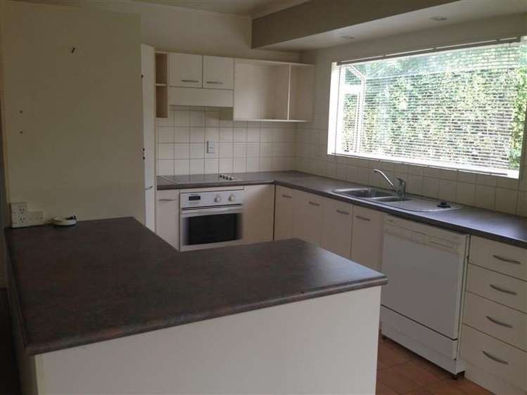 38A Ballarat Street Ellerslie_4