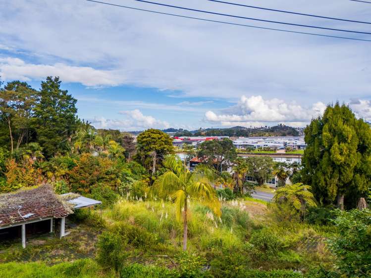 31 Riverside Drive and 4 Punga Grove Avenue Riverside_6
