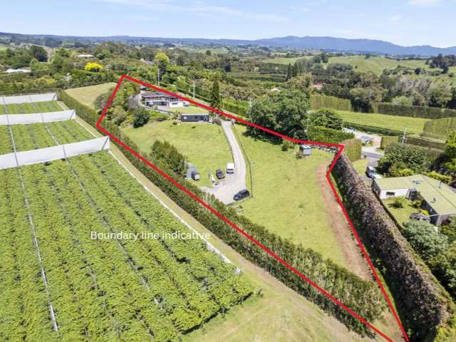 62 Plummers Point Road Whakamarama_2