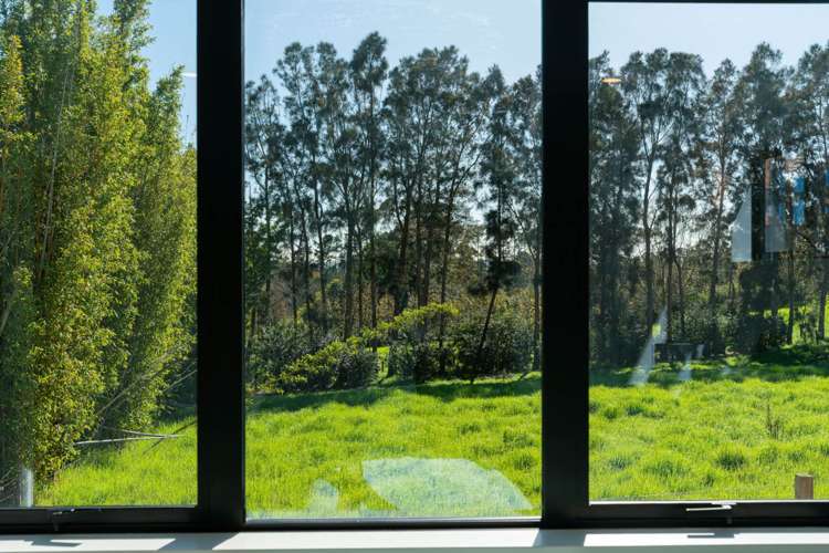 49 Whiteywood Street Westgate_14