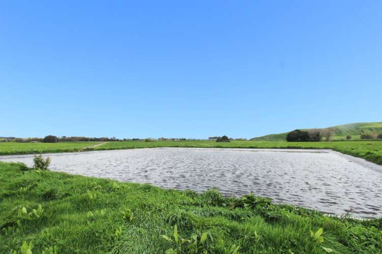 155 Bluff Road Pahiatua_13