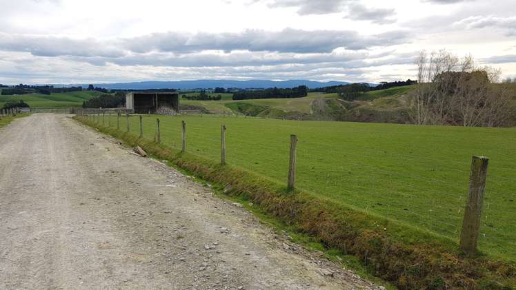 161 Roulston Road Balclutha_12