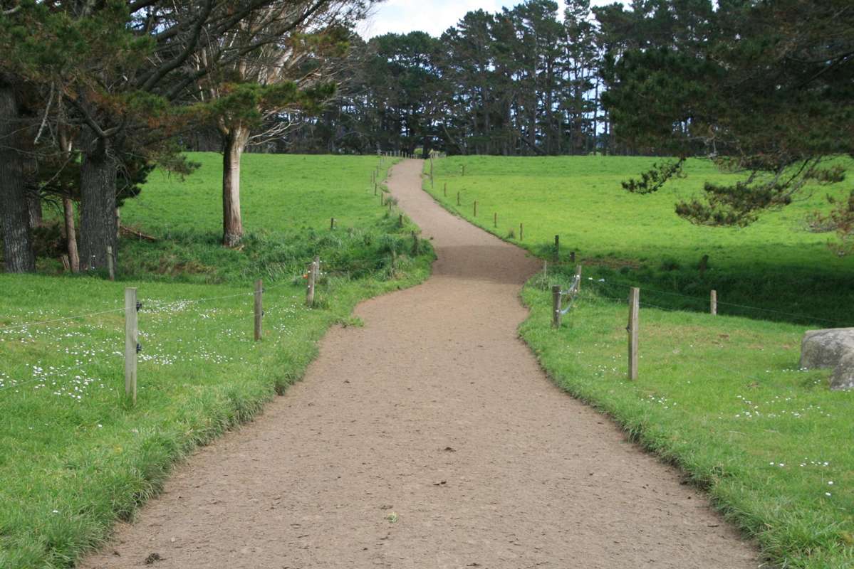 297 Mangawhero Road_2