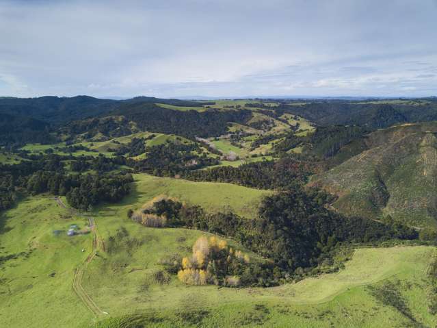 Lot 14 Orotere Estate Kaeo_3