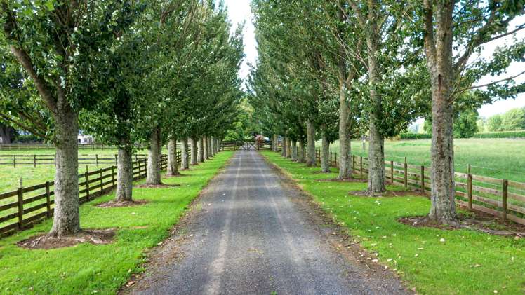 673 Tirau Road Karapiro_3