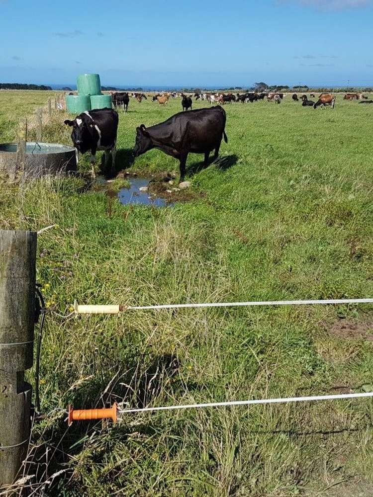 349 Ihaia Road Opunake_27