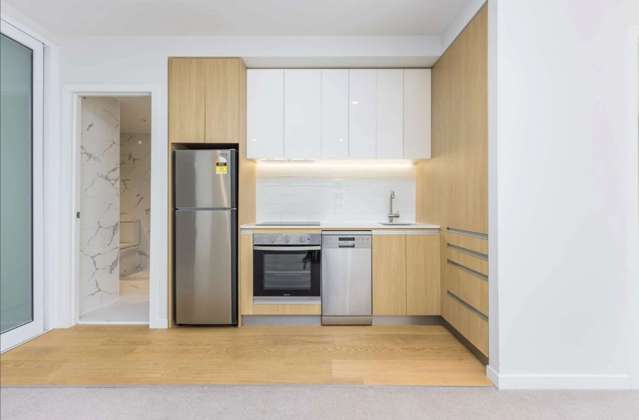 402/43 Edwin Street Mount Eden_4