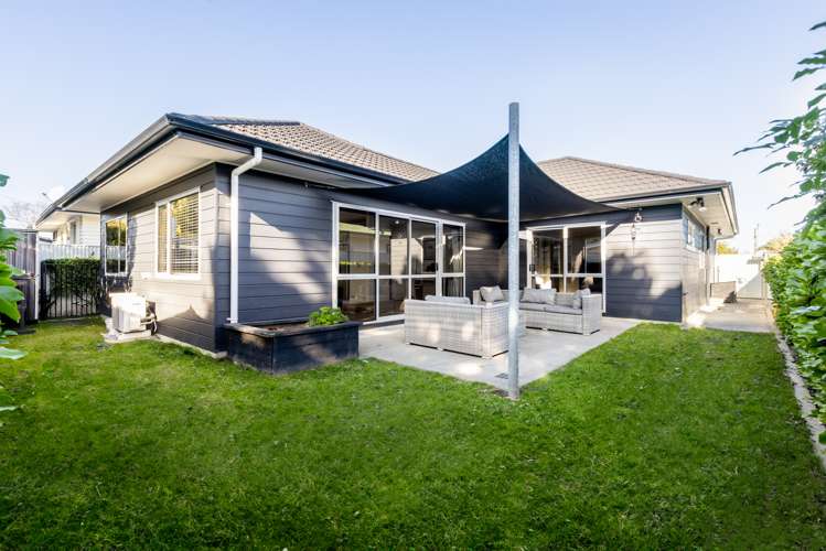 2a Harrow Street Taradale_14