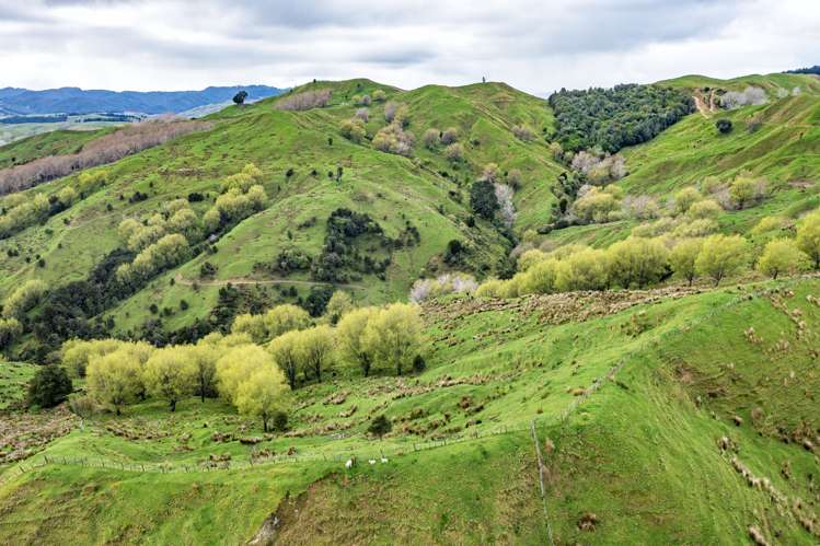 783 Glenroy Road Whangara_16