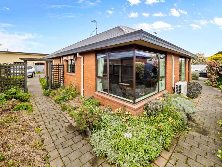 1/51 Peter Street Ashburton_13