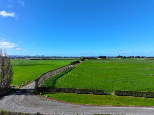 The Finest Support Land in Southland