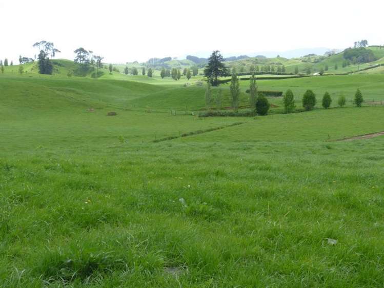 646 Henry Watson Road Richmond Downs_7