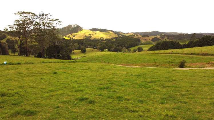 Millbrook Road Waipu_38