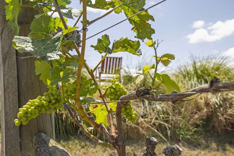 596 Lake Ferry Road Dyerville_17