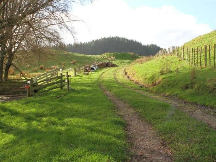 63 Waikupa Road Okoia_10