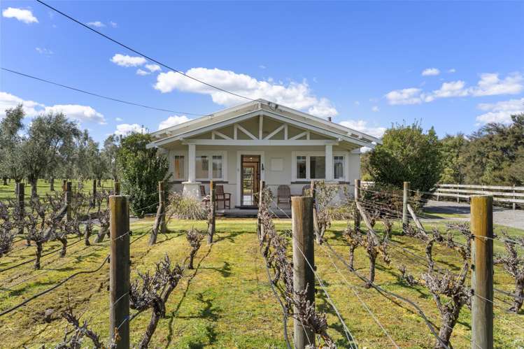 49 Oxford Street Martinborough_26