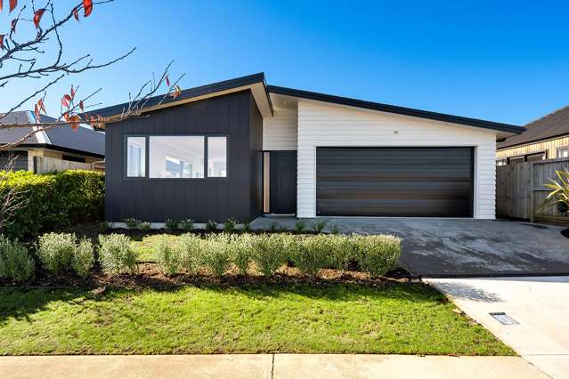 12 Werewere Street Morrinsville_1