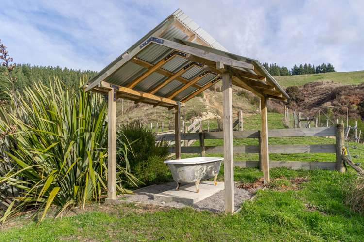 579 Jacksons Line Mauriceville_13