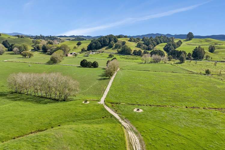 282B Callaghan Road Maromaku_39