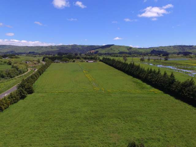 76 Broomfield Road Woodville_3